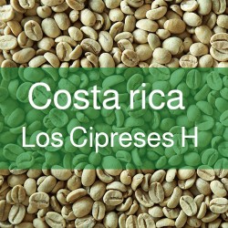 كوستاريكا قهوة خضراء 1 كيلو: استمتع بتجربة قهوة خضراء فاخرة من كوستاريكا! اكتشف طعم الاستوائية في كل رشفة. احصل عليها بوزن 1 كيلو واستمتع بمذاق لا يقاوم.