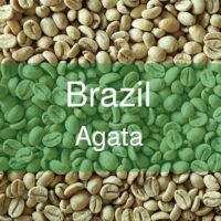 بن أخضر للبيع: اكتشف سرّ القهوة الخضراء البرازيلية واستمتع بنكهة فريدة! احصل على أفضل قهوة عند تحميصك لها بنفسك. استمتع بالتفاصيل اللذيذة الآن!