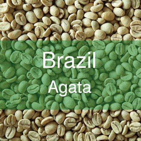 اكتشف سرّ قهوة خضراء برازيلية للتحميص واستمتع بنكهة فريدة! احصل على أفضل قهوة عند تحميصك لها بنفسك. استمتع بالتفاصيل اللذيذة مقدمة من محمصة إير