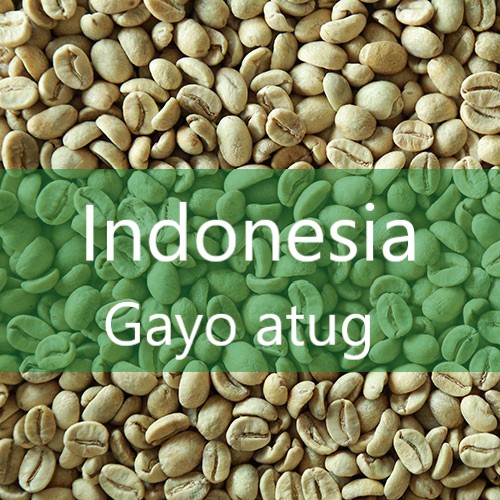 بن للبيع بالجمله: استمتع بتجربة ساحرة مع القهوة المختصة الخضراء من إندونيسيا! اكتشف العبق الفريد والنكهات الغنية. احصل على 1 كيلو قهوة خضراء رائعة الآن.